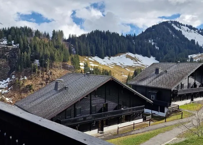 Oeillet 3 * 챰푸신